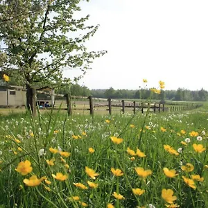 agriturismo-cargandino.italymilanhotels.net/